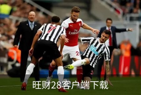 旺财28客户端下载介绍