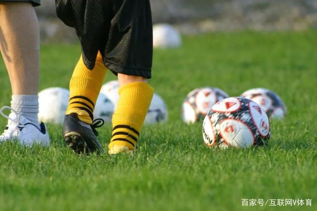 旺财28客户端下载应用下载